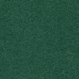images/carte-cartoncini/vellutata/verde_210.194