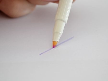 images/conservazione_materiali/penna_ph/penna_ph3